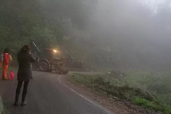 Por la caída de un árbol, piden circular con precaución por la ruta a San Javier