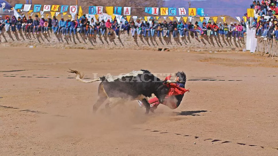 EMOCIÓN EN LA PLAZA. Uno de los toreros es embestido por el toro mientras intentaba quitarle la vincha que el animal lleva en sus cuernos. LA GACETA / FOTOS DE ÁLVARO MEDINA