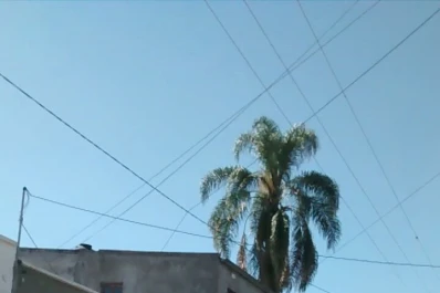 Un camión repleto de bolsones para repartir