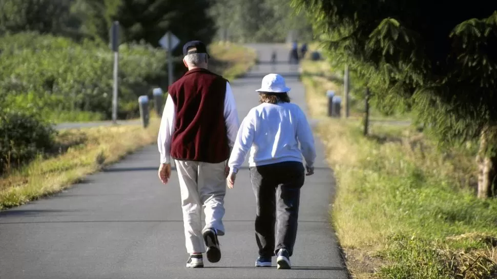 MEJORAS. Caminar enérgicamente entre 20 y 25 minutos varias veces a la semana estimula el trabajo cerebral, afirma un estudio. media.npr.org