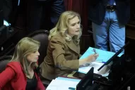 Rojkés, Mansilla y Elías de Pérez cruzaron chicanas desde las bancas