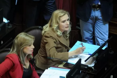 Rojkés, Mansilla y Elías de Pérez cruzaron chicanas desde las bancas