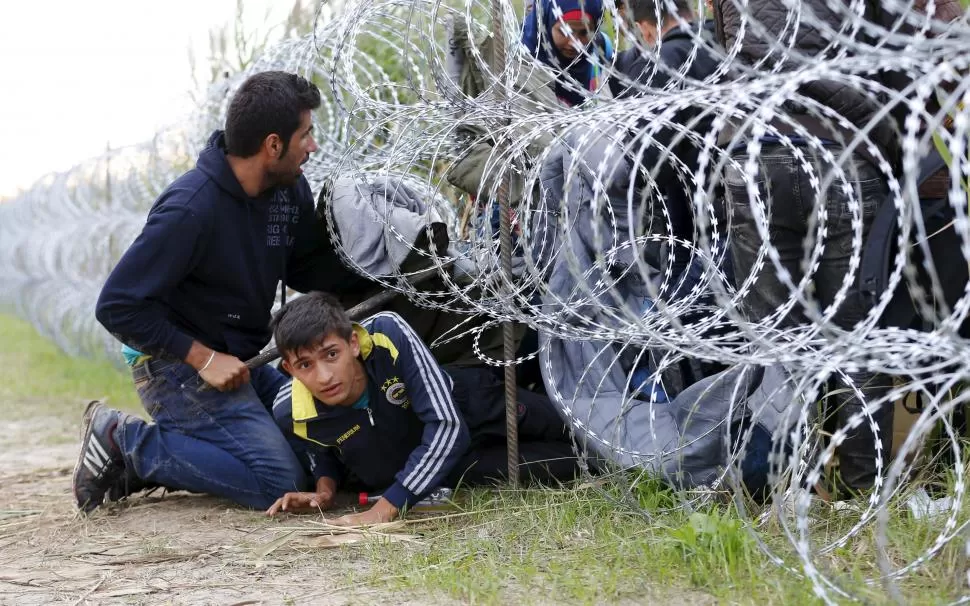 ESCAPE. Dos inmigrantes sirios se escabullen entre la alambrada húngara. reuters