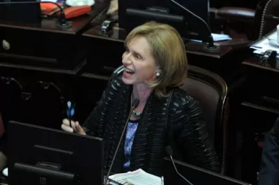 La DAIA lamentó los exabruptos de Rojkés en el Senado