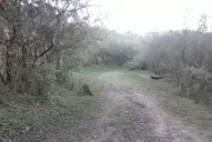 Los bikers ofrecen limpiar el circuito del Trasmontaña