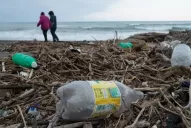 El 99 % de las aves marinas del mundo tendrá plástico en el estómago para 2050