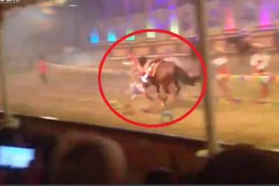 Video: mujer acróbata muere en pleno show de caballos