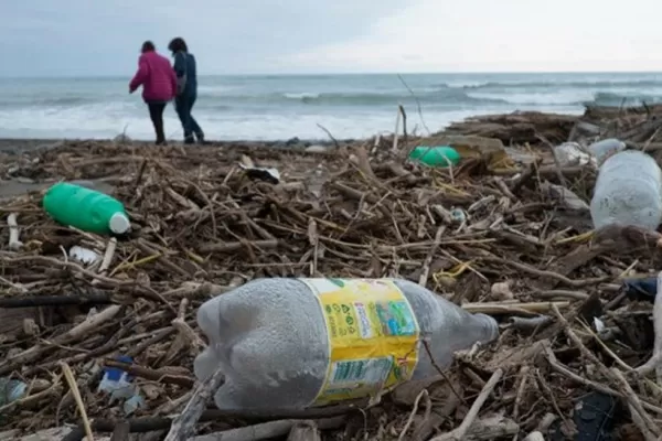 El 99 % de las aves marinas del mundo tendrá plástico en el estómago para 2050