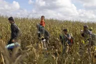 La acogida de inmigrantes divide   a los gobiernos y a países europeos