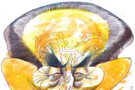 Fayt se irá un día después que Cristina