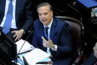 Festejen, pero sepan que el fallo ese no es definitivo, dijo Pichetto