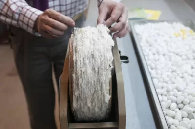 La UNT intenta rescatar la producción de gusanos de seda