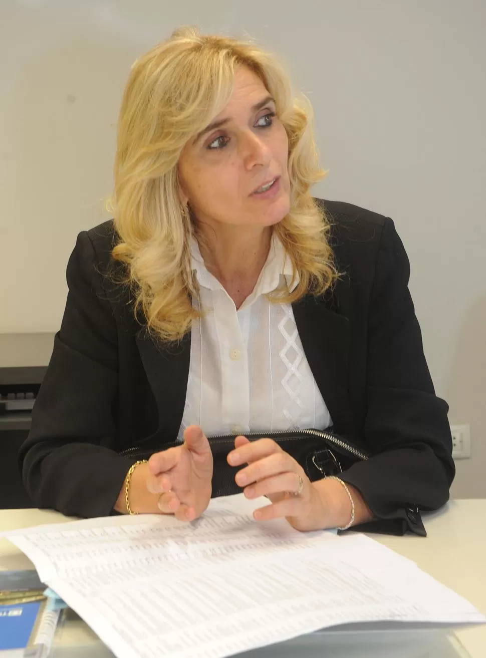 OPOSICIÓN. Silvia Elías de Pérez se postula para senadora nacional.