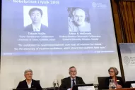 Los investigadores de los neutrinos Kajita y McDonald reciben el Nobel de Física