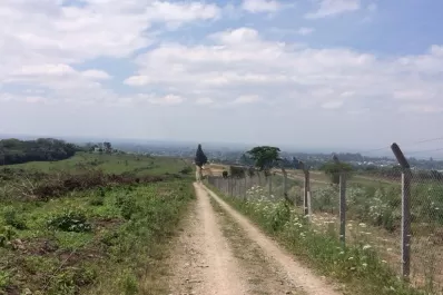 Esperando la tormenta