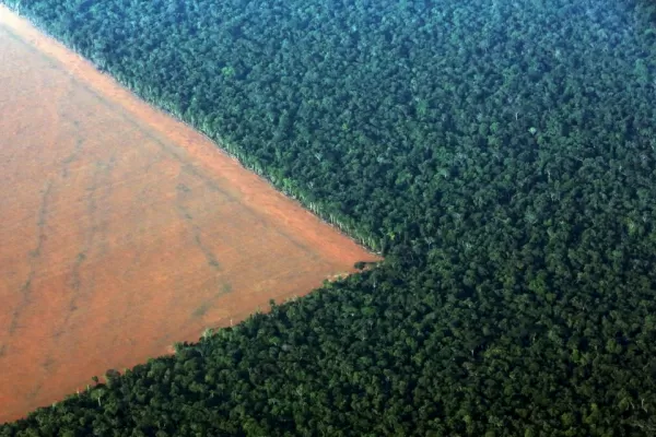 La tala de árboles genera y agrava la sequía