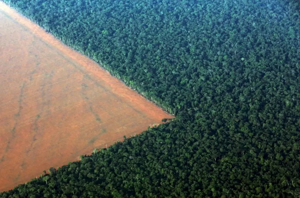 NATURALEZA EN PELIGRO. Esta imagen aérea muestra el avance implacable de la desforestación en el Amazona; la selva desaparece y nacen los cultivos. Reuters. 