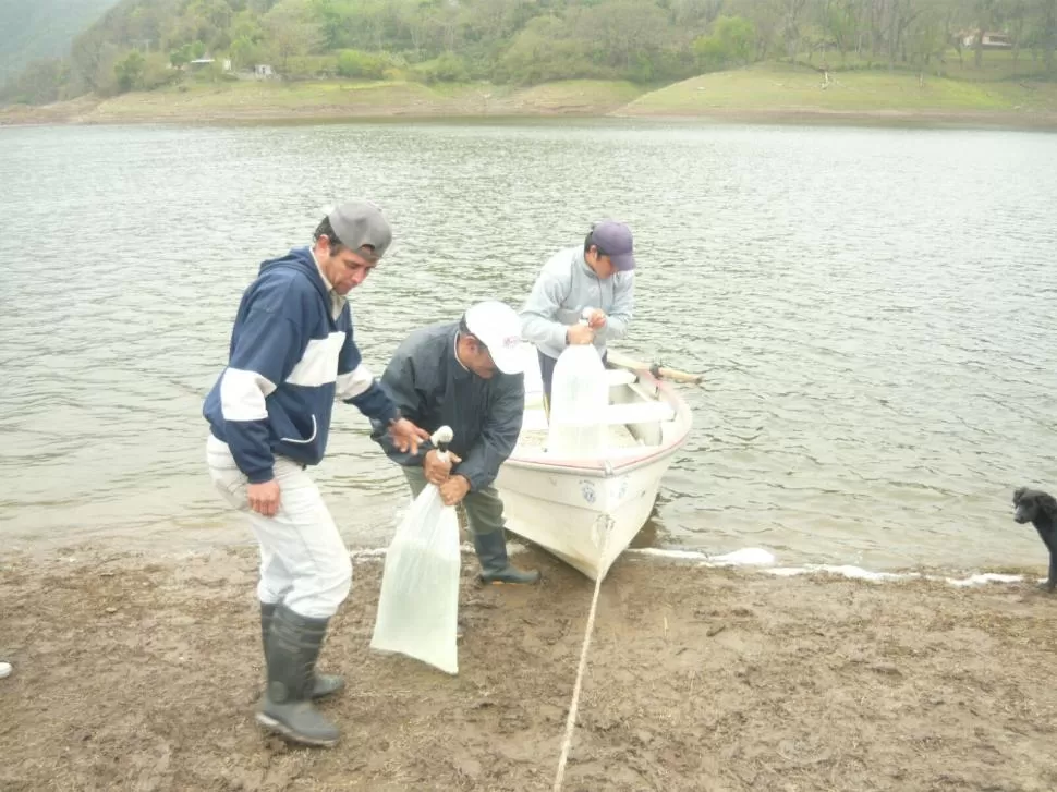 EN PLENA TAREA. Fernando Quintana (con la bolsa) carga un bote del club para sembrar los alevinos de pejerreyes en el dique Escaba. Fotos gentileza Héctor Gallo. 