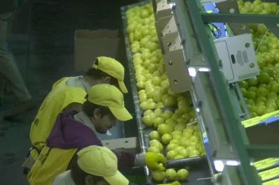Las exportaciones tucumanas tuvieron un buen desarrollo