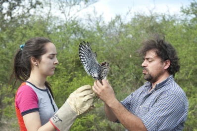El “hospital” de los animales autóctonos