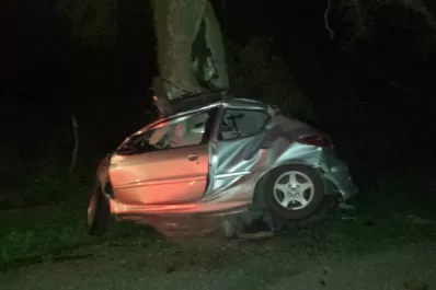 A los bomberos les llevó tres horas retirar los cuatro cuerpos