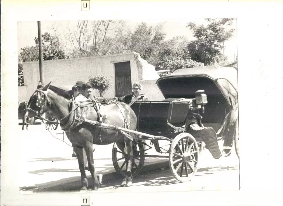 COCHE DE CABALLOS. El conductor atacado conducía un vehículo parecido a este. Muchos de ellos recorrieron las calles de Tucumán hasta los años 70.LA GACETA / ARCHIVO.