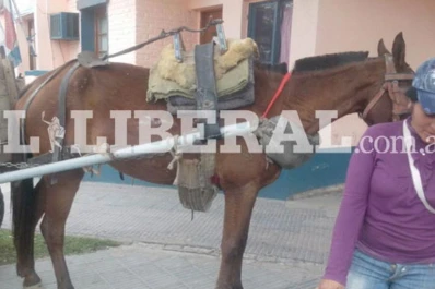 Un motociclista chocó contra un carro tracción a sangre: murió en el acto