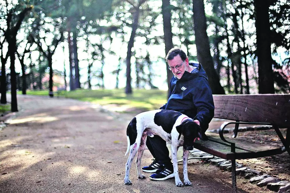 EN SOLEDAD. Rajoy paseó ayer con su perro por una plaza de Madrid. 