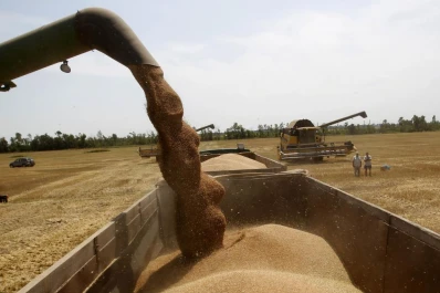 Las reservas del Central sumaron U$S 717 millones en la semana
