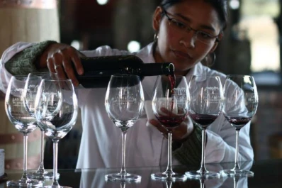 Vitivinicultores de los Valles celebran el fin de las retenciones