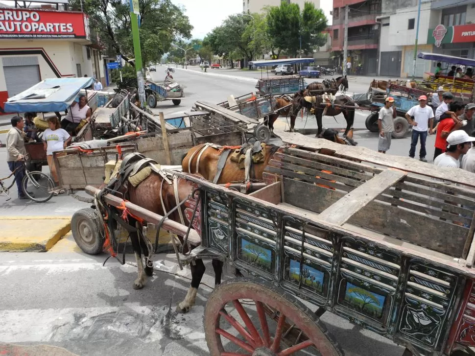  telam la gaceta / foto de josé nuno