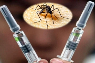 Aprobaron la primera vacuna para prevenir el dengue