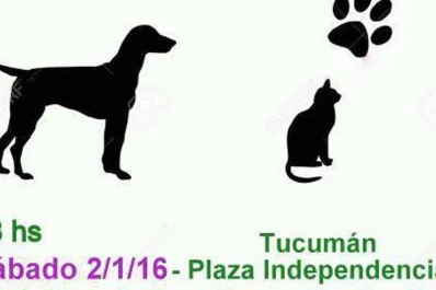 Realizarán un encuentro de mascotas perdidas con sus dueños