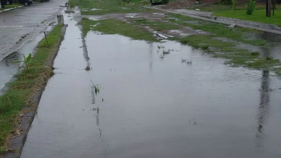 FOTO ENVIADA POR WHATSAPP