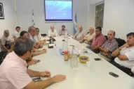 Las langostas ponen en alerta a la agricultura