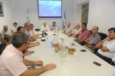 Las langostas ponen en alerta a la agricultura