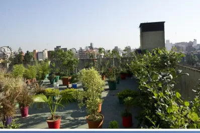 ›› Cartas de lectores