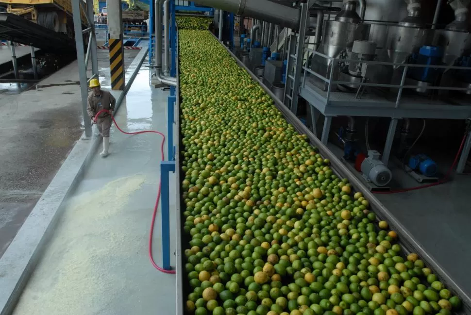 HAY MERCADO. Los productos industriales del limón tienen compradores. la gaceta / archivo 