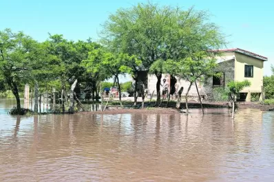 El agua mata el ganado con el que subsisten en Sud de Lazarte