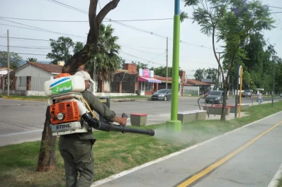 Confirman que padece dengue un joven que vino de Paraguay
