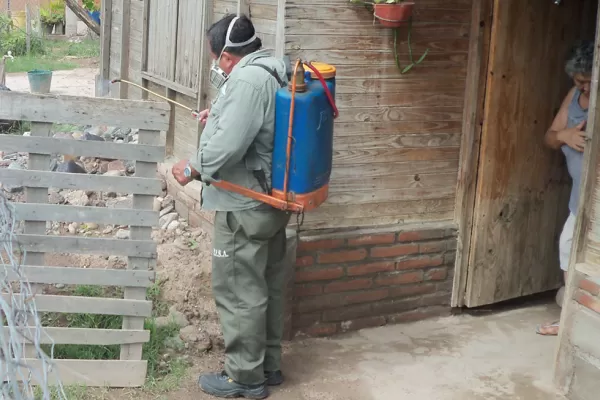 Diez consejos para combatir los mosquitos y prevenir el dengue