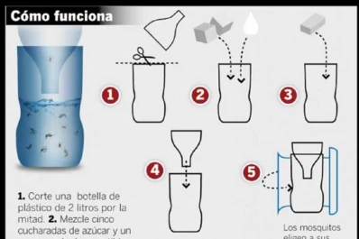 El método casero contra los mosquitos que se volvió viral