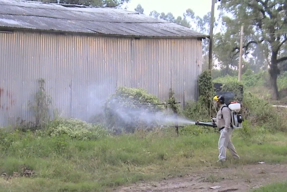 PREVENCIÓN. Las autoridades insisten en fumigar y descacharrar para evitar que el mosquito Aedes Aegypti se reproduzca. 