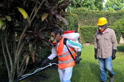 En Tucumán hay 108 casos sospechosos de dengue