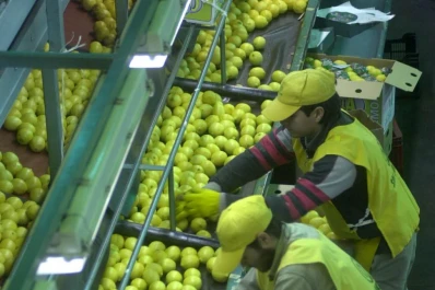 Entre la producción y el mercado externo