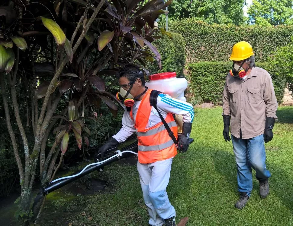 PREVENCIÓN. Operarios realizan fumigaciones en espacios verdes para evitar la proliferación de mosquitos PRENSA MUNICIPALIDAD DE YERBA BUENA