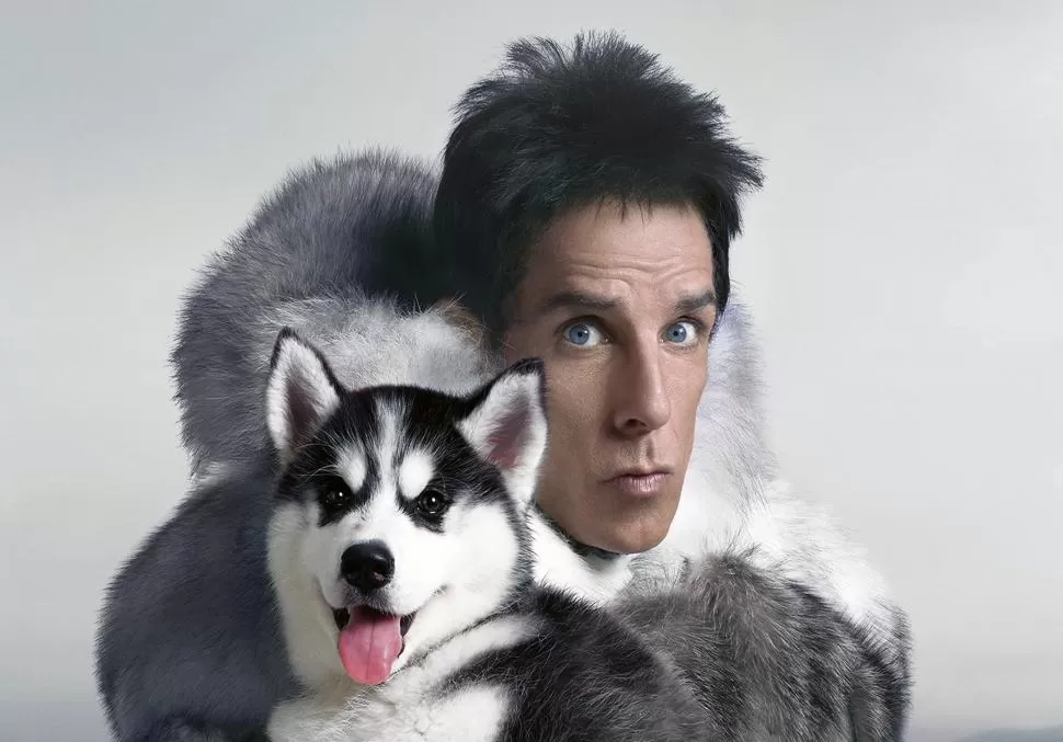  ZOOLANDER 2