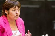 De una buena idea montaron un negociado, aseguró Ocaña