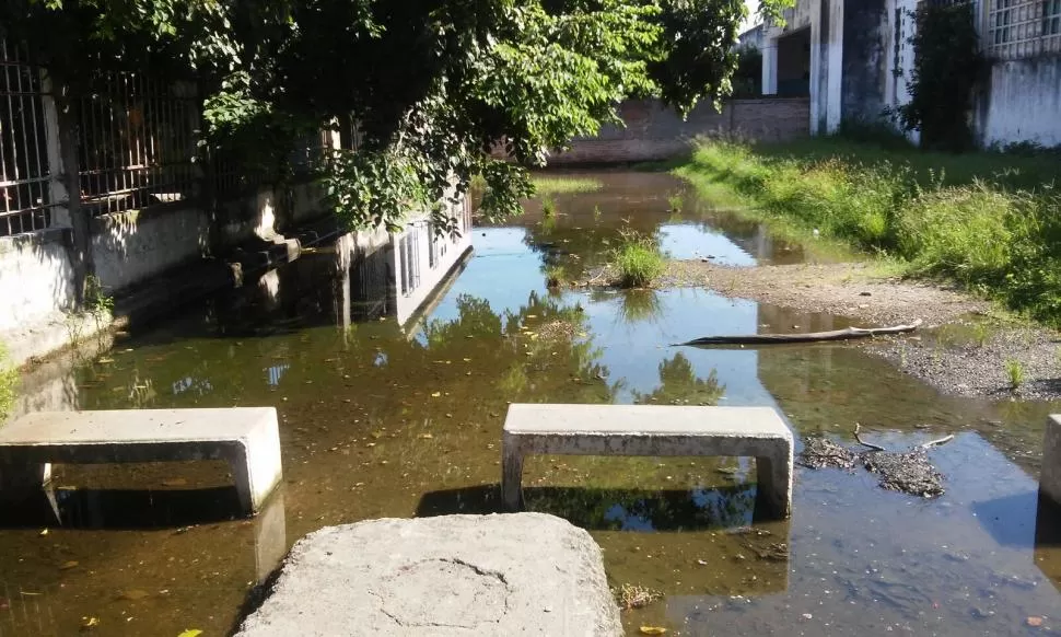 ABANDONO. El patio de la escuela Rector Villafañe está inundado, según muestra la foto que mandó un lector. Foto enviada por whatsapp.