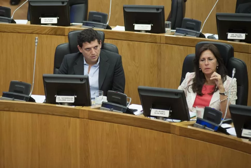 EN SU BANCA. El oficialista Gassenbauer es “vice” 1° de la Legislatura. la gaceta / foto de florencia zurita (archivo)